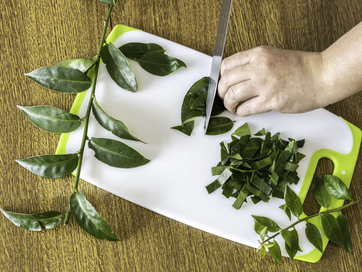 Perfil Nutricional Completo: Vitaminas, Minerais e Proteínas - inspiração 1