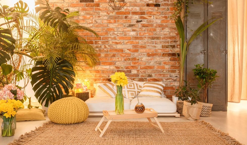 Cores que Acalmam: A Paleta da Sua Paz Interior - inspiração 1