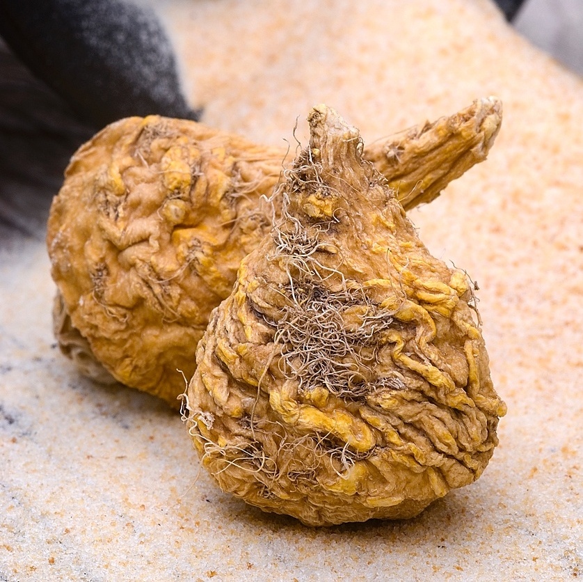 Desempenho Físico e Mental Aprimorados - inspiração 2