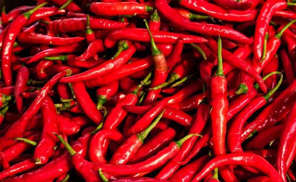 O Toque Picante da Malagueta: Um Clássico Brasileiro - inspiração 1