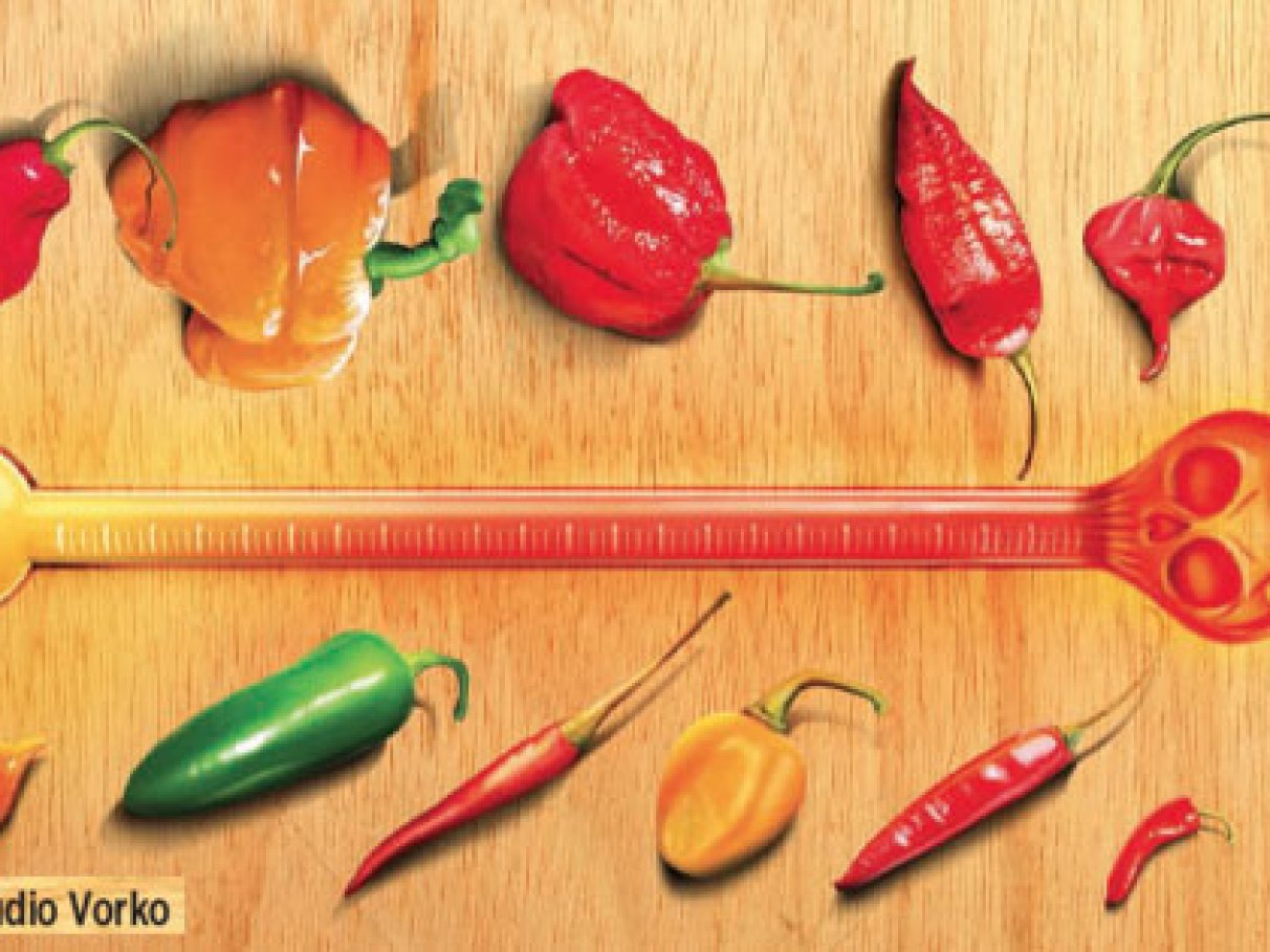 A Exuberância da Jalapeño: Frescor e Leveza em Cada Mordida - inspiração 2