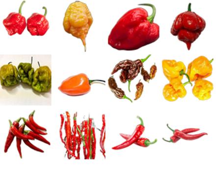 O Calor Intenso da Habanero: Para os Amantes de Emoções Fortes - inspiração 1