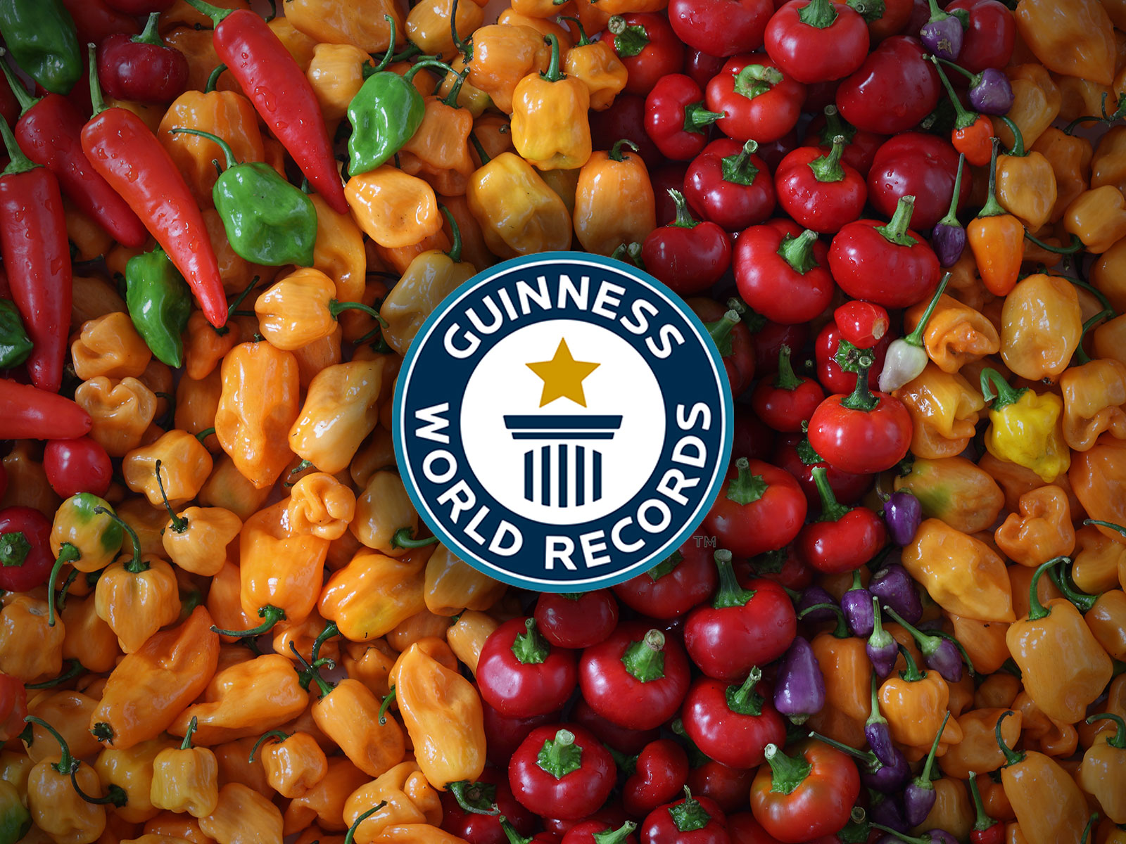 A Complexidade Aromática da Cumari: Sabores Únicos do Cerrado - inspiração 1