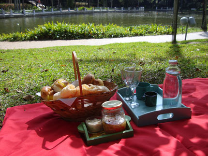 Dicas para um Piquenique Sustentável e Consciente - inspiração 2