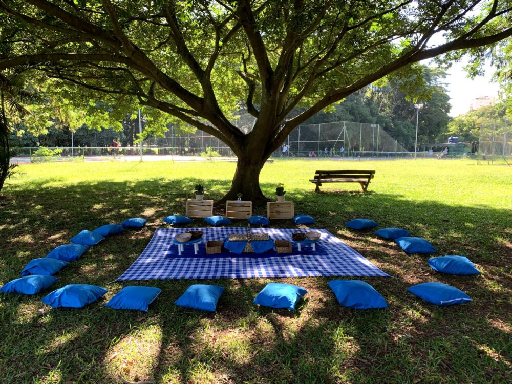 Cesta de Piquenique dos Sonhos: O Que Levar? - inspiração 1