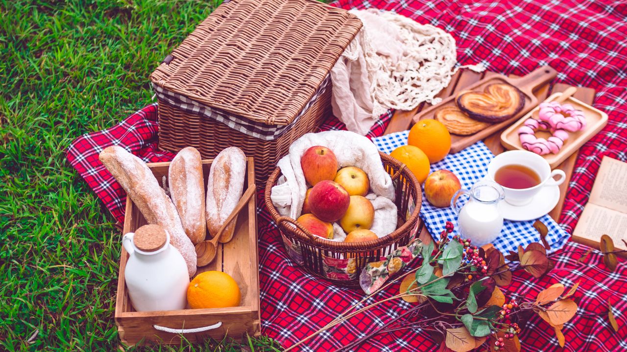 Cesta de Piquenique dos Sonhos: O Que Levar? - inspiração 2