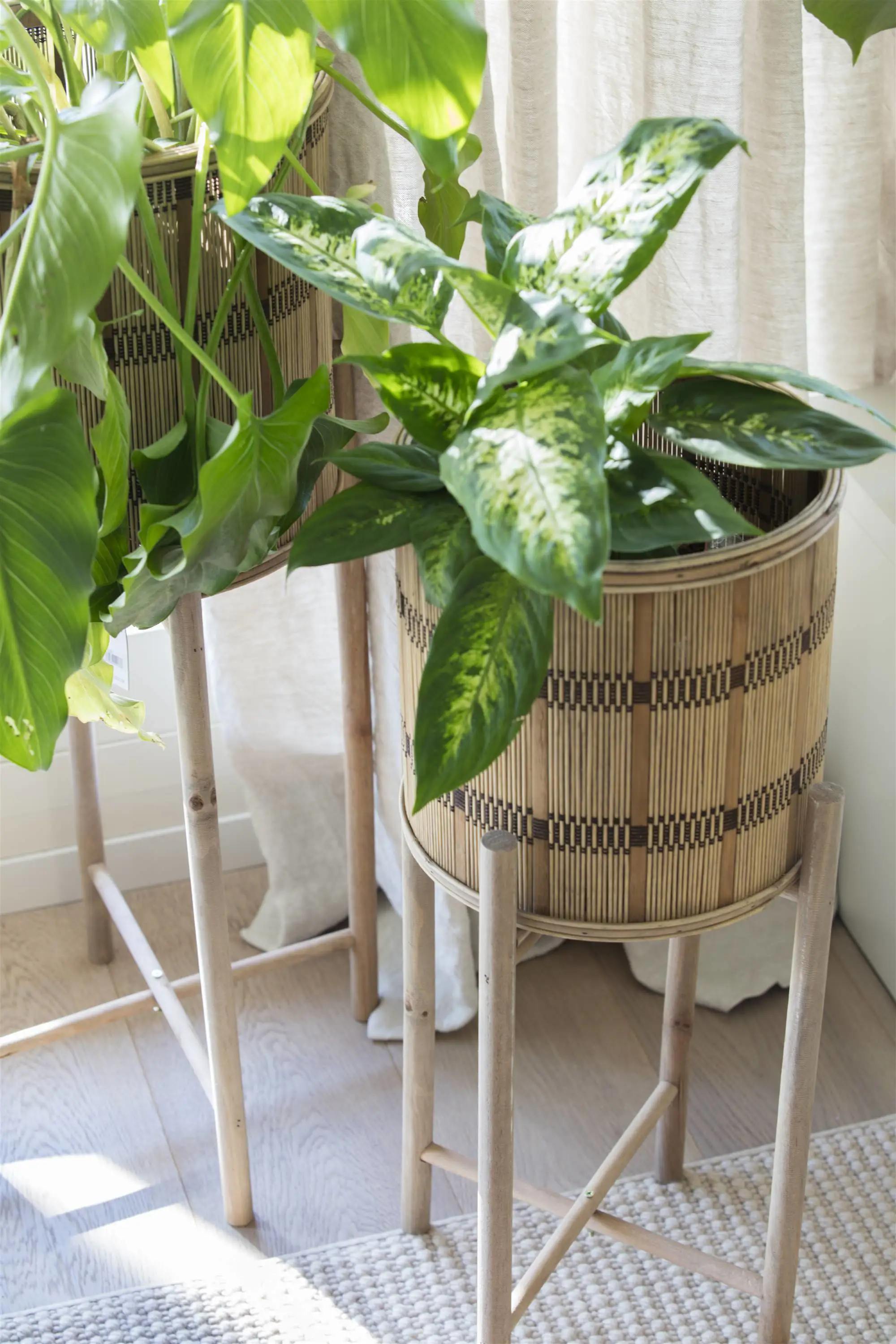 Pequenos Espaços: A Charmosa Jiboia - inspiração 1