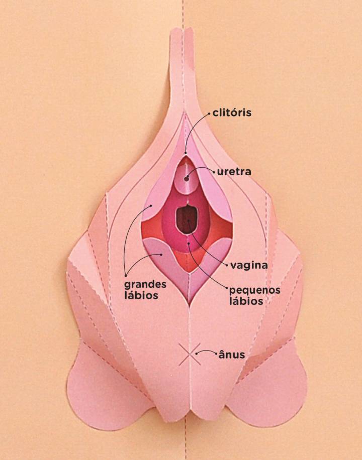 Identificando seus Músculos do Assoalho Pélvico: O Primeiro Passo Essencial - inspiração 1