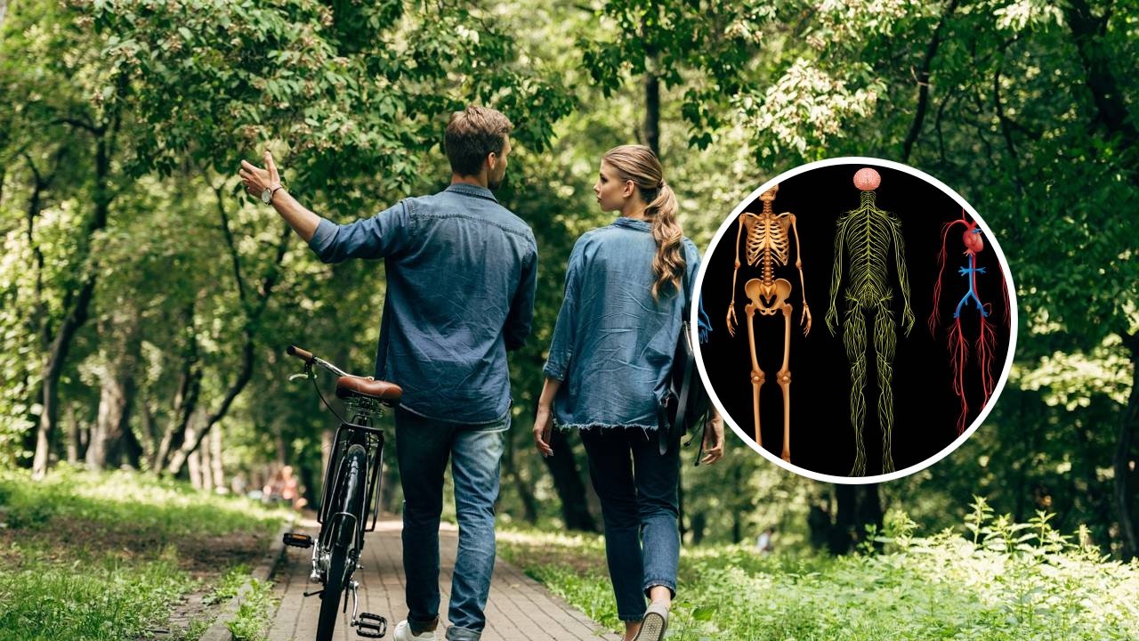 Prática Diária: Exercícios Simples para Fortalecer Sua Postura - inspiração 1