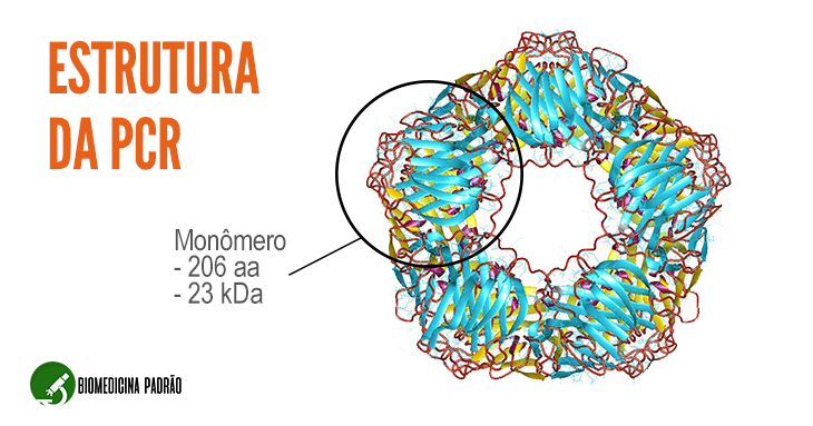 Entendendo o que é a Proteína C Reativa (PCR) - inspiração 2