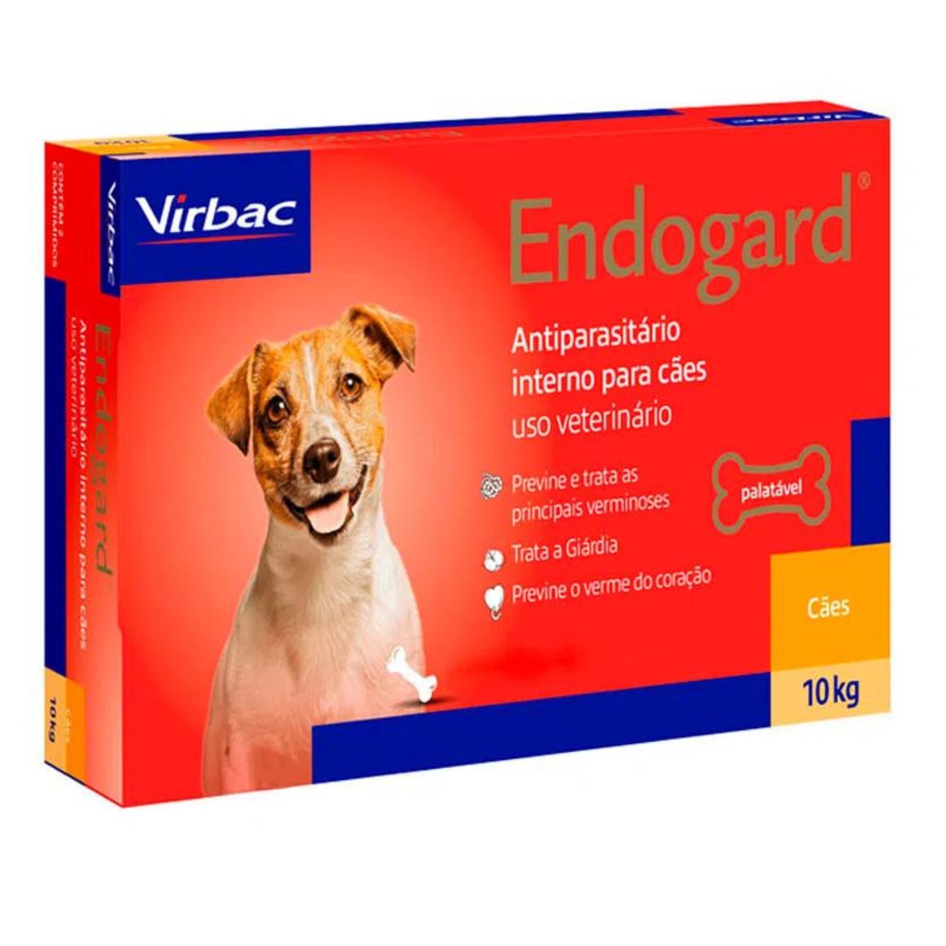 Mantendo a Saúde Digestiva em Dia Após o Tratamento - inspiração 2