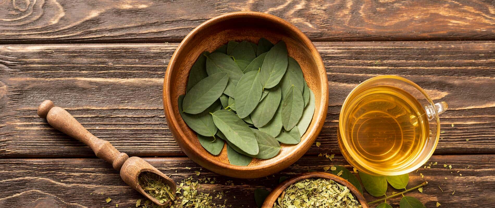 Fitoterapia: Opções Naturais Que Valem a Pena Conhecer - inspiração 2