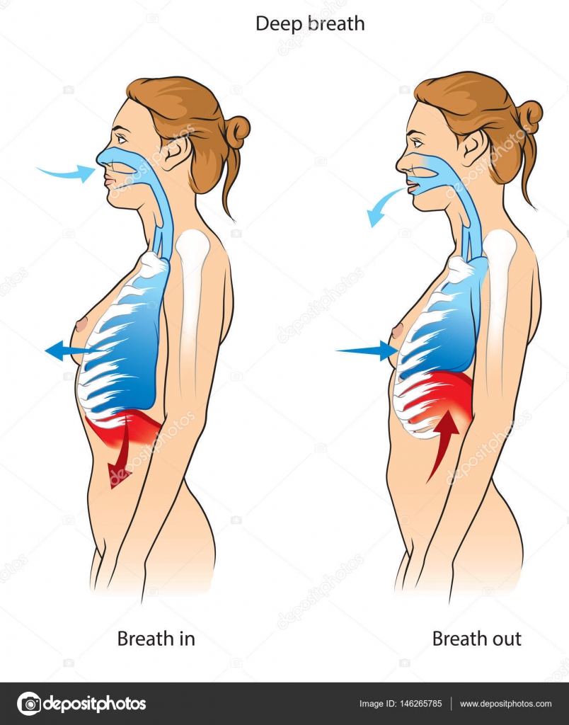 Exercícios de Respiração para Aliviar Dores e Tensões Musculares - inspiração 2
