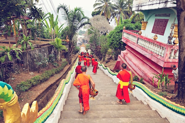 Leitura inspiradora: alimentando sua alma - inspiração 2