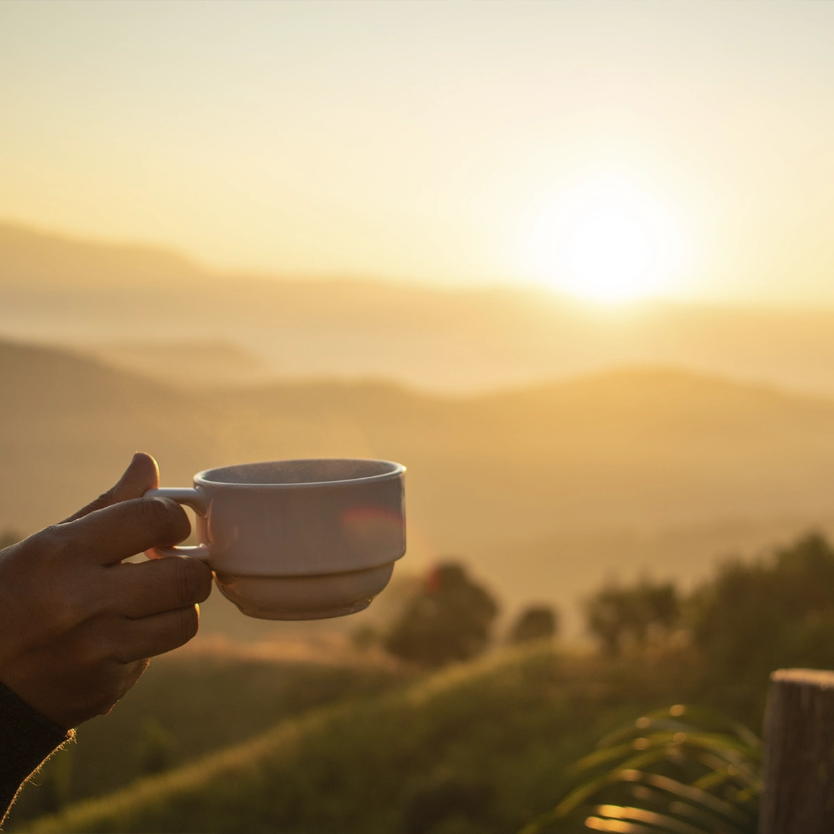 Bebidas Alternativas: Opções Refrescantes e Energéticas - inspiração 2