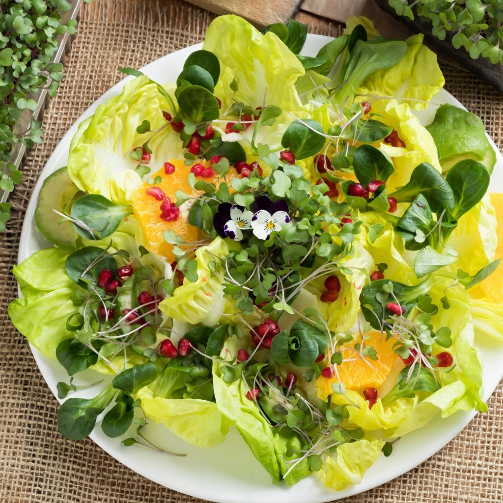 Proteínas Que Dão Sabor e Sustância - inspiração 1