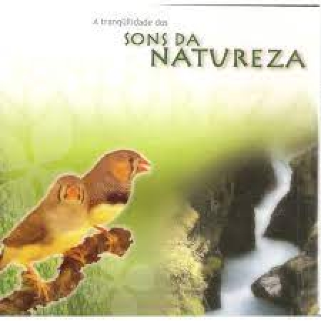 O crepitar da lareira: aconchego e tranquilidade sonora. - inspiração 1