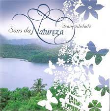 O som da cachoeira: uma experiência imersiva de paz. - inspiração 2