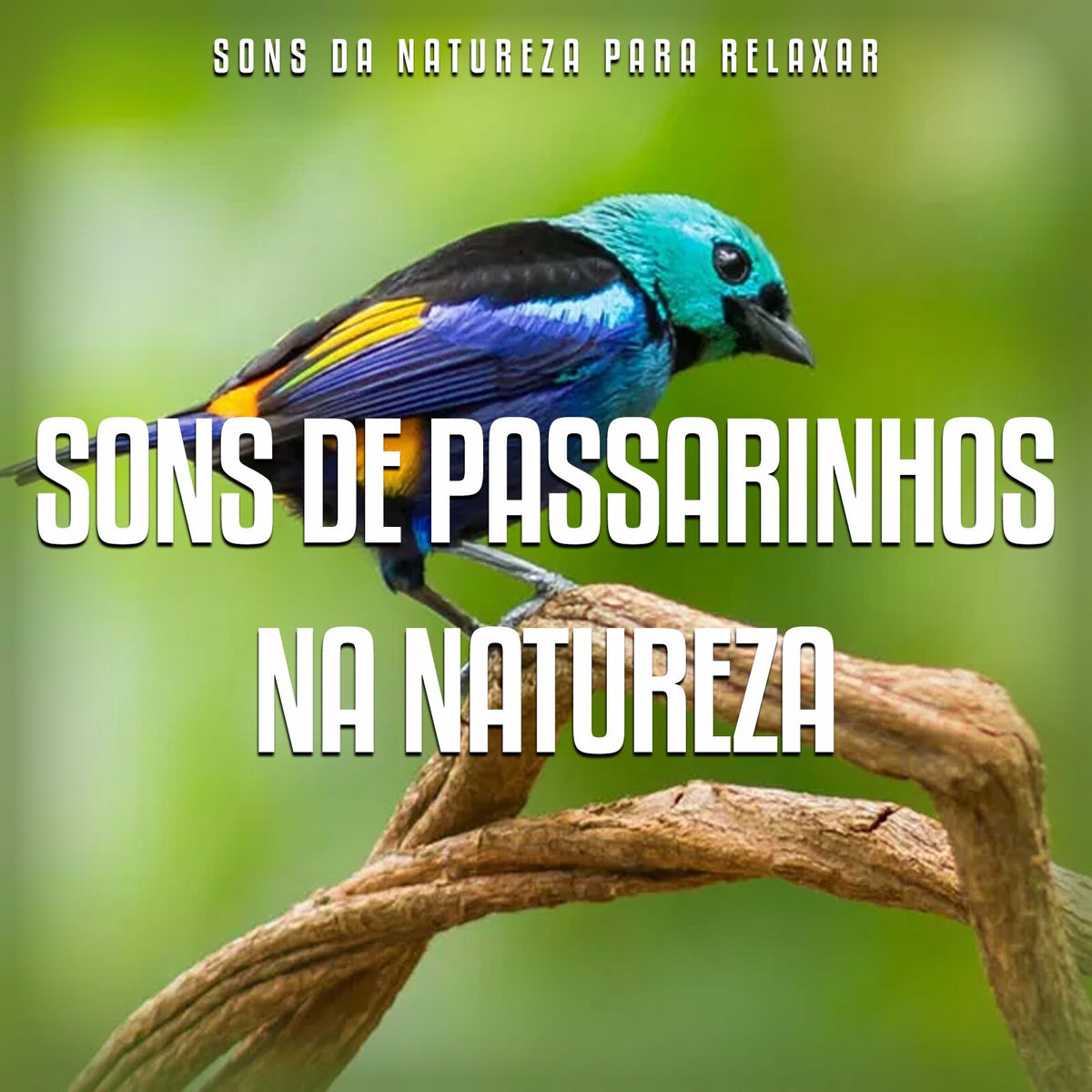 Adapte os sons da natureza ao seu ambiente de trabalho. - inspiração 2