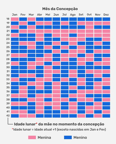 Entendendo os Pilares da Tabela: Idade Materna e Mês da Concepção - inspiração 1