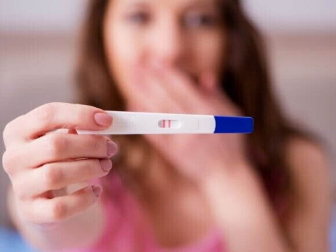 Mantenha a Calma: A Informação Correta é Seu Melhor Aliado - inspiração 2