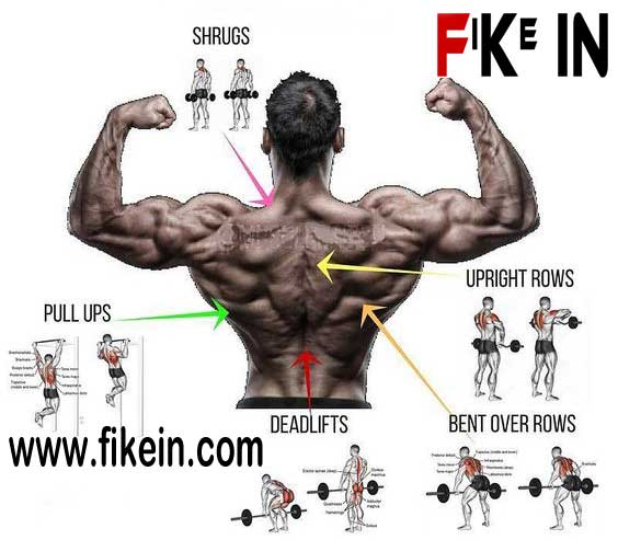 Levantamento Terra: O Exercício Rei para a Posterior - inspiração 2
