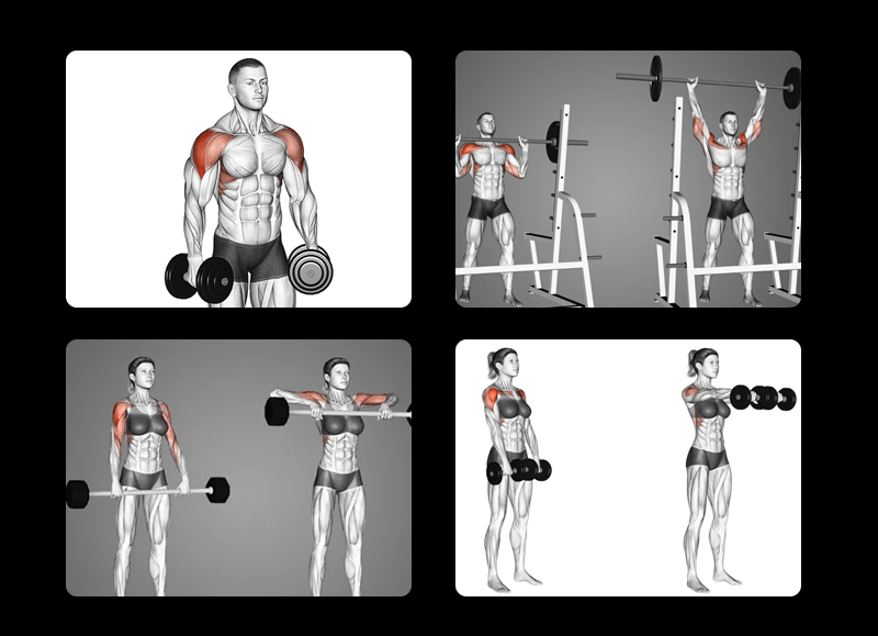 Remada Alta: Envolvendo Deltóides e Trapézios para uma Postura Imponente - inspiração 1