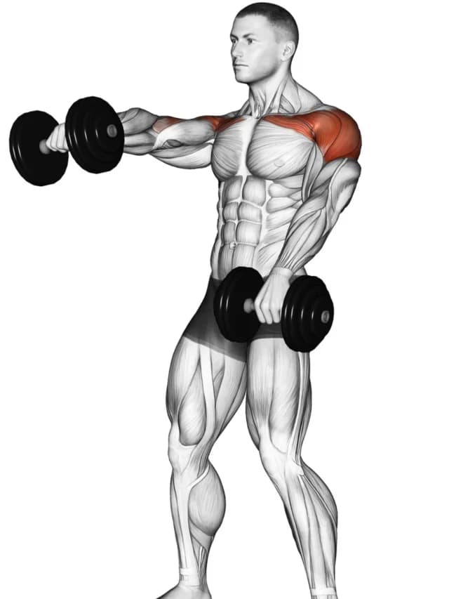 Remada Alta: Envolvendo Deltóides e Trapézios para uma Postura Imponente - inspiração 2