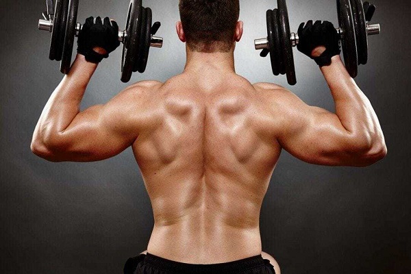 Rotação Externa com Elástico: Essencial para a Estabilidade do Manguito Rotador - inspiração 2