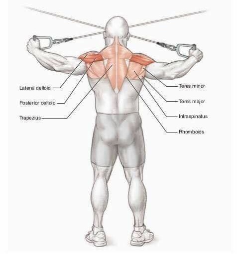 Super-Séries para Intensificar: Combinando Exercícios para Máximo Impacto - inspiração 2