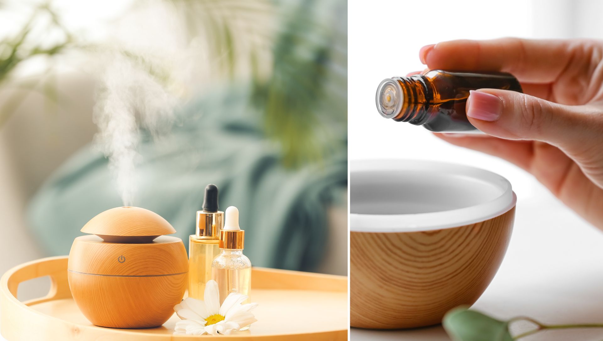 Aromatizadores Elétricos: Eficiência e Praticidade - inspiração 1