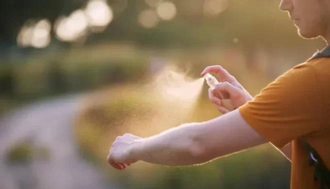 Cuidados Especiais: Roupas e Ambientes Livres de Insetos - inspiração 2