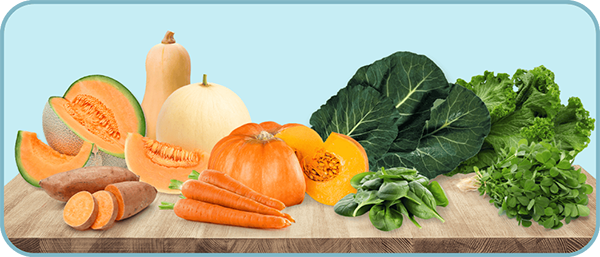 Como Introduzir a Vitamina A na Sua Rotina de Cuidados - inspiração 2