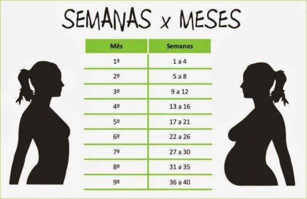 16 semanas é quantos meses