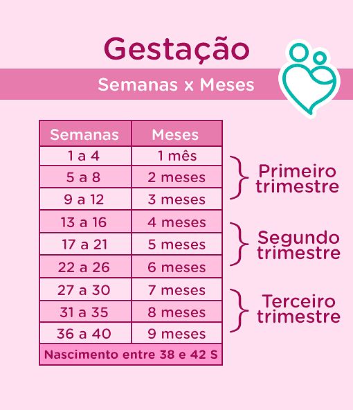 24 semanas sao quantos mes