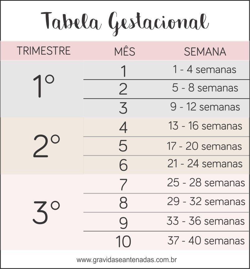24 semanas sao quantos meses