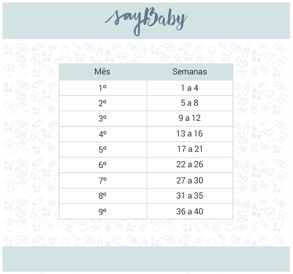 24 semanas sao quantos meses