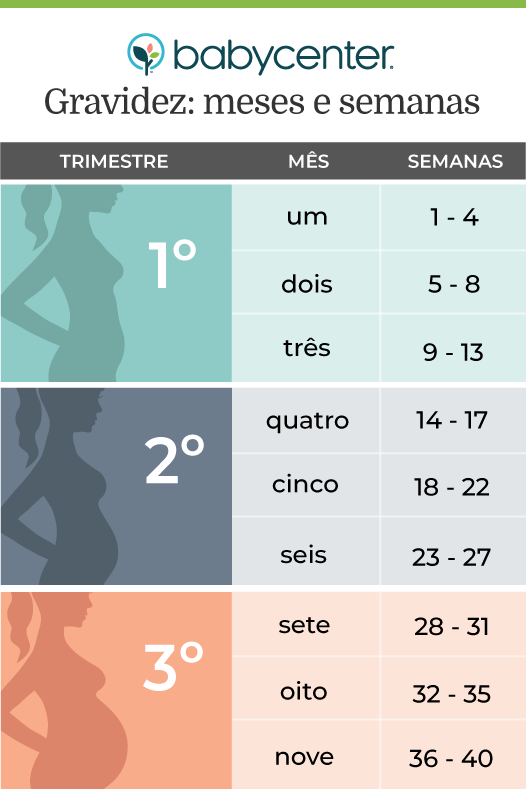 28 semanas são quantos meses