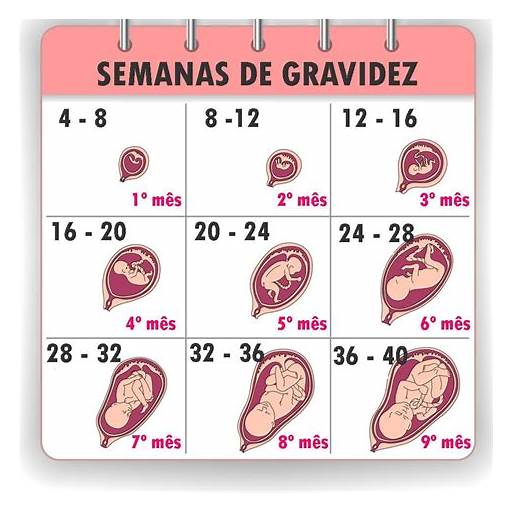 Preparativos para a chegada do bebê: checklist para o 7º mês