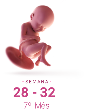 Sintomas comuns do 7º mês de gravidez e como aliviá-los