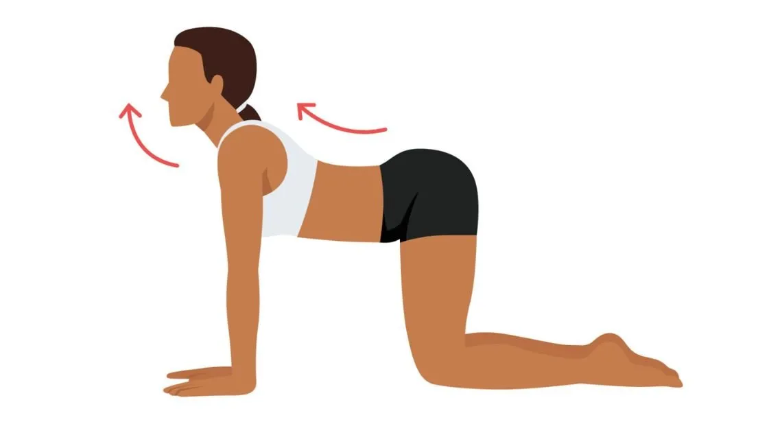 Alongamento de tronco: Aliviando tensões causadas pelo sedentarismo