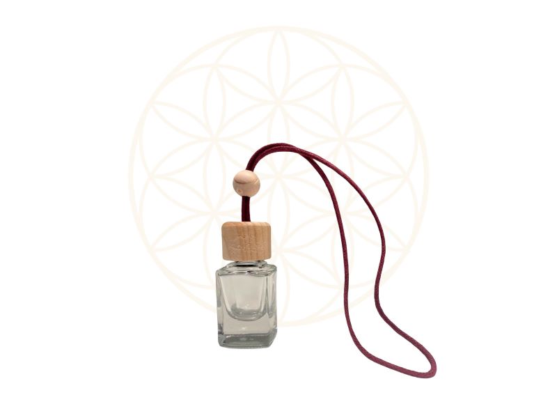 DIY: Crie seu Aromatizador de Carro Caseiro