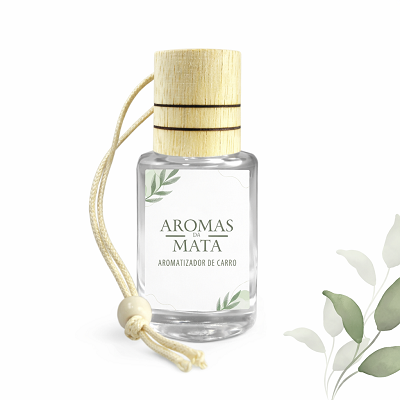 Guia Completo de Difusores de Carro: Tipos e Como Usar