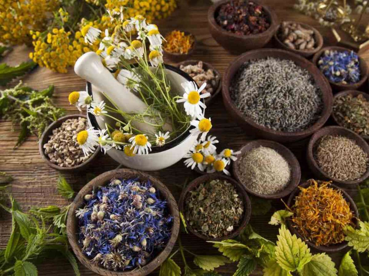 Guia Completo de Ervas para Banhos Energéticos