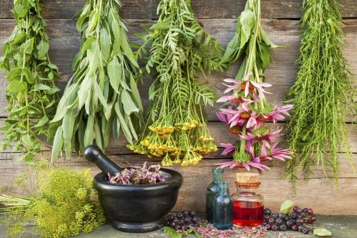 Como o Banho de Ervas Pode Melhorar Seu Sono e Relaxamento