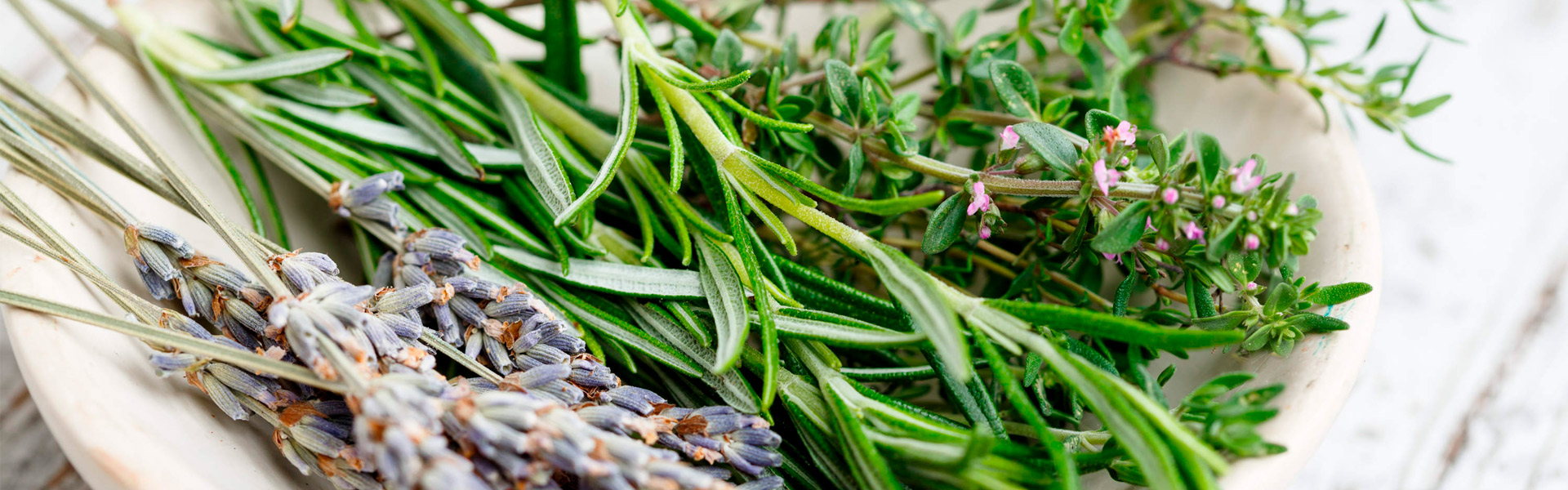 Guia Completo de Ervas para Banhos Energéticos