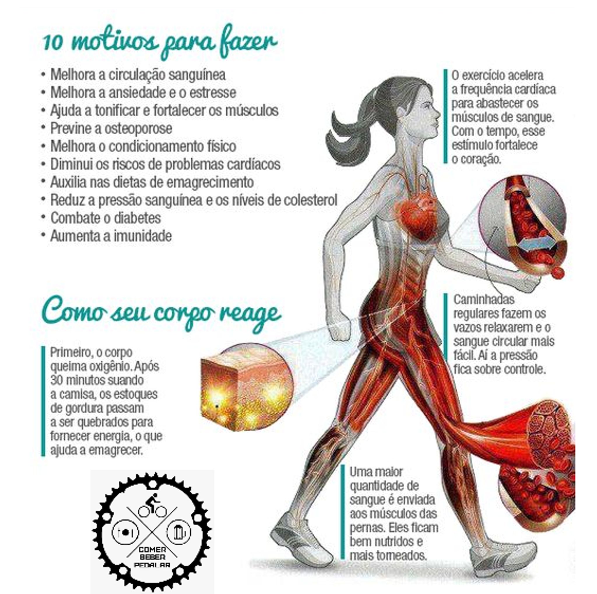 Os melhores horários para caminhar e maximizar os benefícios