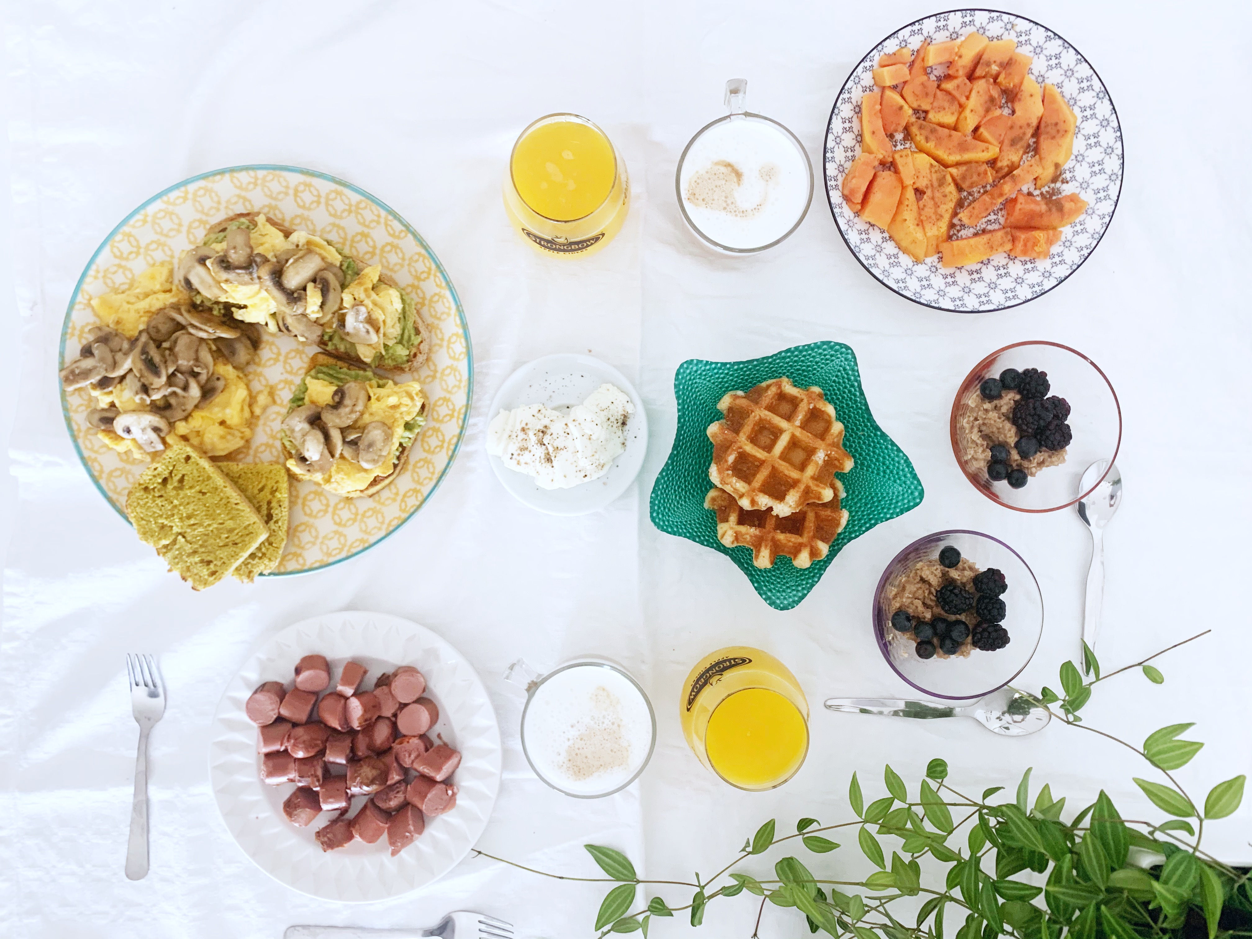 Como fazer uma Mimosa perfeita