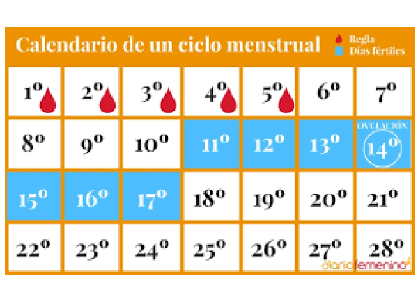 Entenda o muco cervical e sua relação com a fertilidade