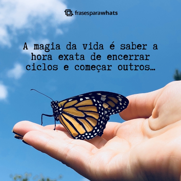 frases para encerrar um ciclo